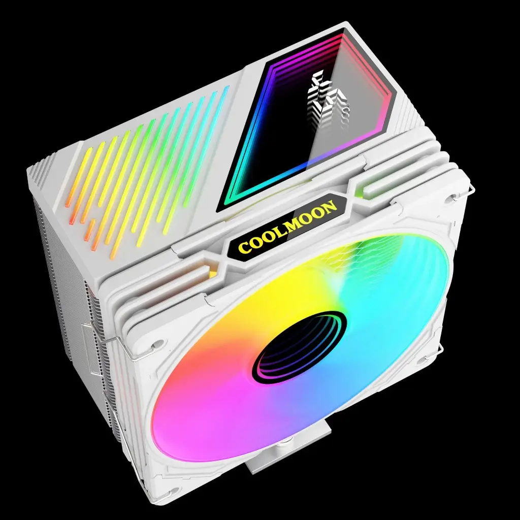 2000_684b23a80a45a.webp