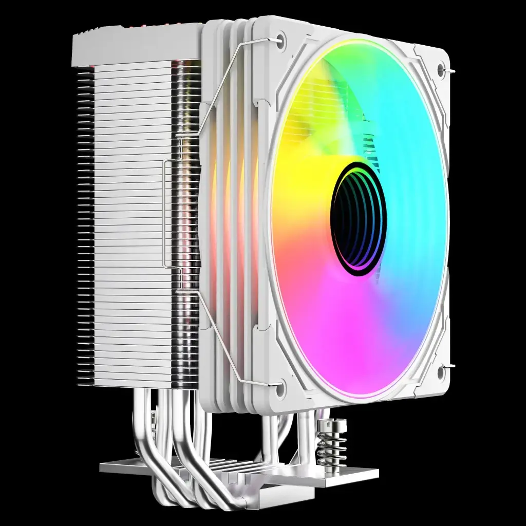 2000_684b23a809bf8.webp