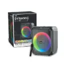 Brodu BTS-1739 Bluetooth Karaoke Speaker