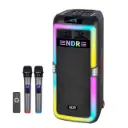 NDR 1708 Party Speaker with Dual Mic