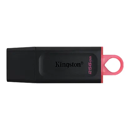 Kingston 256 GB 3.2 Pen Drive