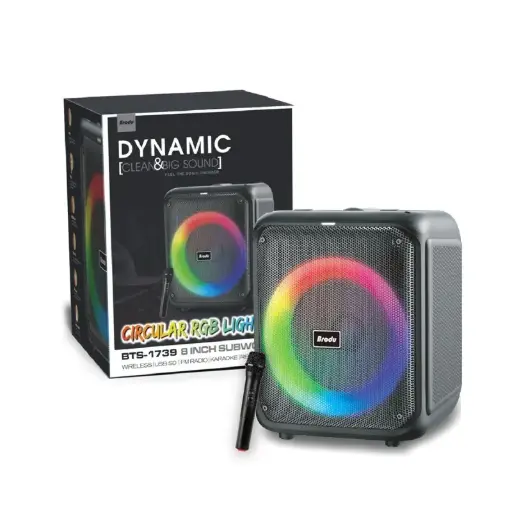 Brodu BTS-1739 Bluetooth Karaoke Speaker