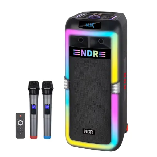 NDR 1708 Party Speaker with Dual Mic