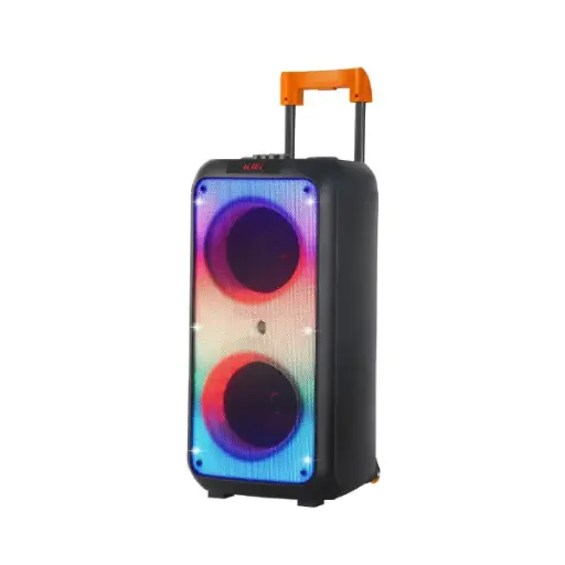 NDR 1095 Dual 8-Inch Portable Party Speakers with Wireless Microphones 
